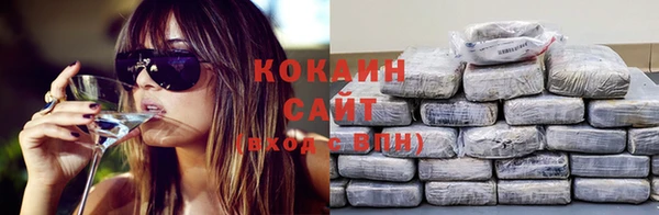 молекула духа Бронницы