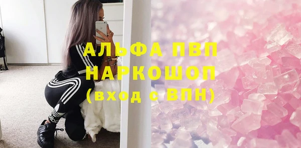 шишки Верхний Тагил